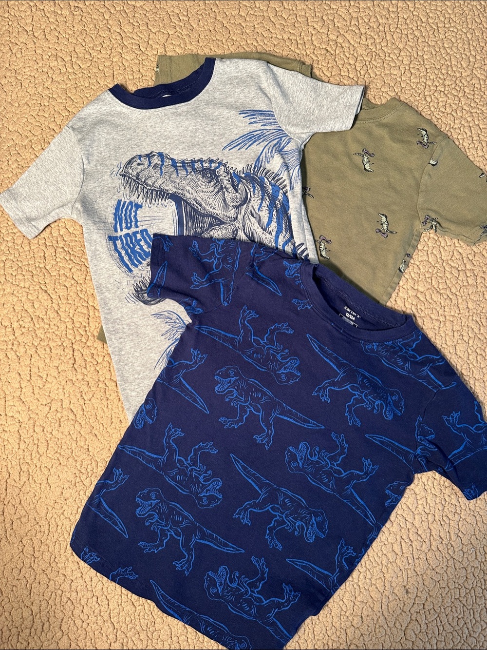 Carter's Navy & Gray Dino Graphic Tee Set
